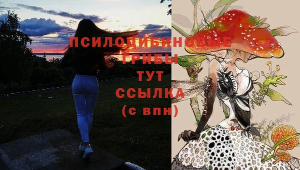 крисы Армянск