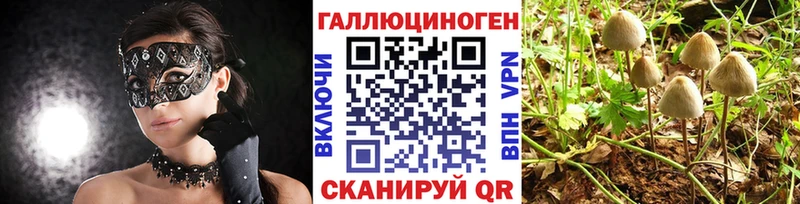 Псилоцибиновые грибы прущие грибы Среднеуральск